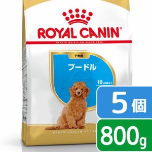 ロイヤルカナン 犬用 ドッグフード　プードル　子犬用　８００ｇ×５袋　３１８２５５０７８８１３７　ジップ付　お一人様２点限り