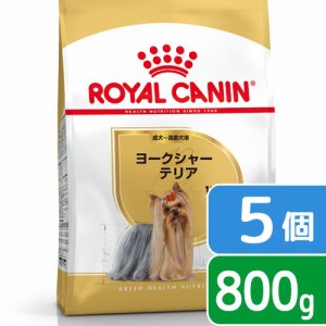 ロイヤルカナン 犬用 ドッグフード　ヨークシャーテリア　成犬・高齢犬用　８００ｇ×５袋　ジップ付　お一人様２点限り