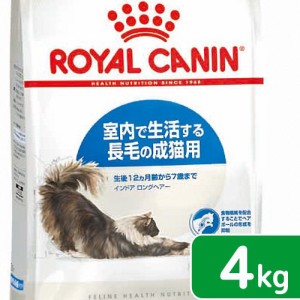 ロイヤルカナン 猫用 キャットフード　猫　インドア　ロングヘアー　成猫用　４ｋｇ　３１８２５５０７３９４０５　お一人様５点限り　ジ