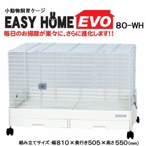 うさぎケージ　三晃商会　イージーホーム・エボ８０　ＷＨ（ホワイト）（８１×５０．５×５５ｃｍ）　うさぎ　ケージ (小動物 鳥かご)