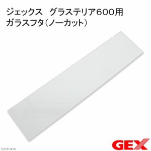 ＧＥＸ　グラステリア６００用　ガラスフタ　（ノーカット）（幅５７．８×奥行１４．１ｃｍ、厚さ３ｍｍ）