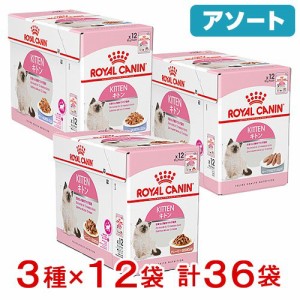 ロイヤルカナン 猫用 キャットフード　子猫　成長後期の子猫用　食べ比べセット　３種各１２袋　計３６袋　お一人様５点限り