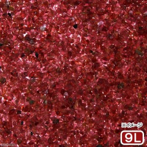 Ｎｏ．２６　Ｇａｒｎｅｔ（ガーネット）　９リットル（６０ｃｍ水槽用）