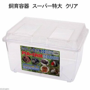 プラケース　飼育容器　スーパー特大　クリア（幅５００×奥行き３５５×高さ３００ｍｍ）　虫かご　昆虫　メダカ　ザリガニ　両生類　お