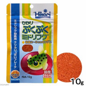 キョーリン　ひかりぷくぷくミドリフグ　１０ｇ　ふぐ　餌　エサ　えさ　お一人様４８点限り