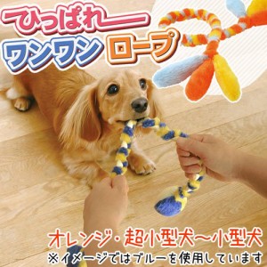 ペティオ　ひっぱれワンワンロープ　オレンジ　おもちゃ　犬　デンタルケア