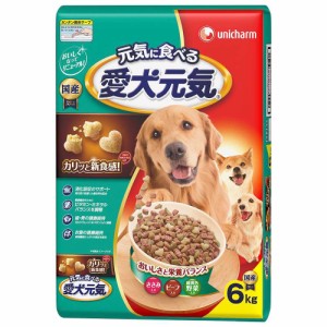 　愛犬元気　全成長段階用　ささみ・ビーフ・緑黄色野菜　６．０ｋｇ　お一人様４点限り ドッグフード