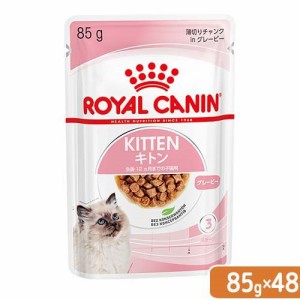 ロイヤルカナン 猫用 キャットフード　子猫　キトン　グレービー　成長後期の子猫用　８５ｇ　４８袋　９００３５７９３０８９４３　お一