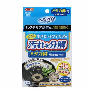 ＧＥＸ　ベストバイオブロック　メダカ鉢用　バクテリア　石　多孔質