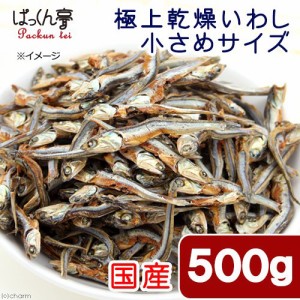 国産　極上乾燥いわし　５００ｇ（１００ｇ×５袋入り）　真空パック　小さめサイズ　無添加　無着色　犬猫用おやつ キャットフード