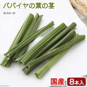 国産　パパイヤの葉の茎　８本入り　かじり木　小動物用のおもちゃ　無添加　無着色　うさぎ　モルモット　毛球ケア (ハムスター)