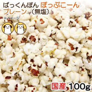 国産　ぽっぷこーん　プレーン　１００ｇ　無塩　無添加　無着色　犬猫用おやつ　ぱっくんぽん　ＰａｃｋｕｎｘＣＯＣＯＡ ドッグフード