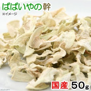 国産　パパイヤの幹　５０ｇ　小動物用のおやつ (ハムスター 餌)