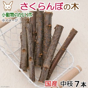 かじり木　国産　さくらんぼの木　中枝　７本入　小動物　おもちゃ　うさぎ　ハムスター　チンチラ