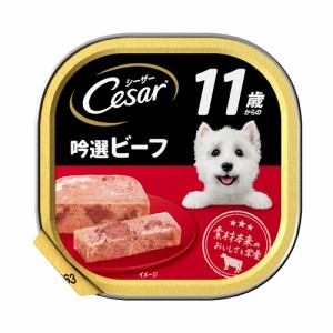 シーザー　１１歳　吟撰ビーフ　ビーフ　１００ｇ×２４個　　シーザー　超高齢犬用 ドッグフード