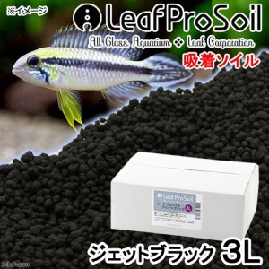 ｌｅａｆ ｐｒｏ ｓｏｉｌ リーフプロソイル ジェットブラック ３ｌ 吸着ソイル 国産 熱帯魚 用品の通販はwowma ワウマ チャーム 商品ロットナンバー