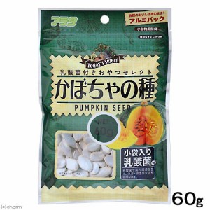 アラタ　乳酸菌付き　おやつセレクト　かぼちゃの種　６０ｇ　うさぎ　ハムスター　小動物　おやつ (ハムスター 餌)