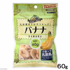 アラタ　乳酸菌付き　おやつセレクト　バナナ　６０ｇ　小動物　おやつ　果物 (ハムスター 餌)