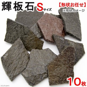 形状お任せ　輝板石　Ｓサイズ（約５〜１０ｃｍ）　１０枚　国産品　アクアリウム　レイアウト素材