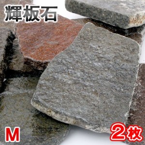 形状お任せ　輝板石　Ｍサイズ（約１０〜２０ｃｍ）　２枚　国産品　アクアリウム　レイアウト素材
