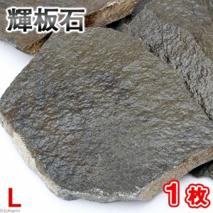 形状お任せ　輝板石　Ｌサイズ（約２０〜３０ｃｍ）　１枚　国産品　アクアリウム　レイアウト素材