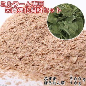 ミルワーム専用　栄養強化セット（ふすま５００ｇ＋乾燥ほうれん草１０ｇ）昆虫　ワーム　餌（エサ）