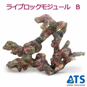 ライブロックモジュール　Ｂ　アクアリウム　擬岩