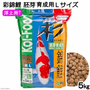 彩錦鯉　胚芽育成用　Ｌサイズ　５ｋｇ　餌　飼料