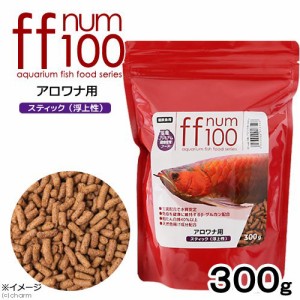 ｆｆ　ｎｕｍ１００　アロワナ用　スティック（浮上性）　３００ｇ　プレミアム健康管理フード　大型魚　アロワナ　餌　エサ　えさ