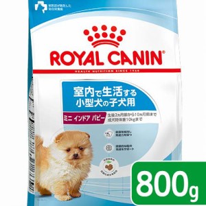 ロイヤルカナン 犬用 ドッグフード　ミニ　インドア　パピー　子犬用　８００ｇ　３１８２５５０８４９３６４　ジップ付　お一人様５点限