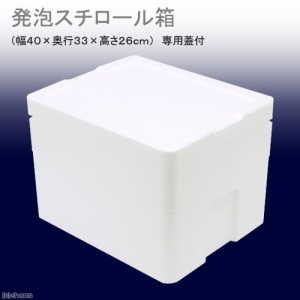 発泡スチロール箱（中）ＴＩ−２２０−２（幅４０×奥行３３×高さ２６ｃｍ）　フタ付き　お一人様１点限り