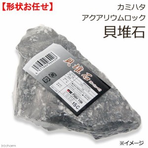 カミハタ　アクアリウムロック　貝堆石　形状お任せ