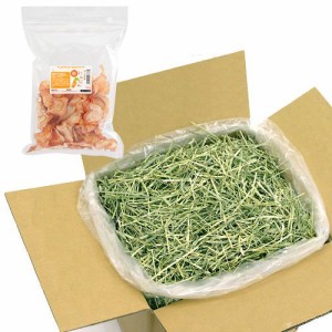 スーパープレミアムホースチモシーショート５ｋｇ＋埼玉県産新にんじん　５０ｇ　うさぎ　牧草　お一人様１点限り