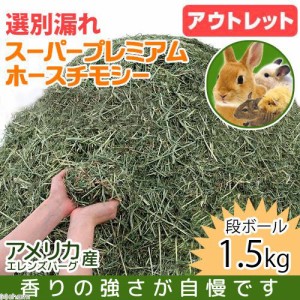 アウトレット品　令和５年産　選別漏れスーパープレミアムホースチモシー　段ボール箱　１．５ｋｇ　お一人様４点限り (ハムスター)