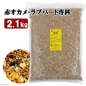 キクスイ　赤オカメ・ラブバード専科　Ｌ　２．１ｋｇ　皮付き