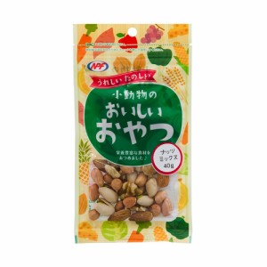 ＮＰＦ　小動物のおいしいおやつ　ナッツミックス　４０ｇ (ハムスター 餌)