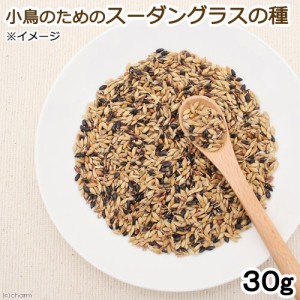 小鳥のためのスーダングラスの種　３０ｇ　小鳥　ハムスター