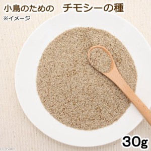 小鳥のためのチモシーの種　３０ｇ　小鳥　ハムスター