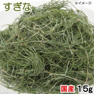 国産　すぎな　１５ｇ　小動物用のおやつ　無添加　無着色 (ハムスター 餌)