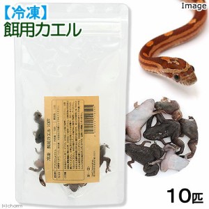 冷凍★冷凍餌用カエル（アフリカツメガエル）　１０匹　爬虫類エサ　無添加　無着色　別途クール手数料　常温商品同梱不可