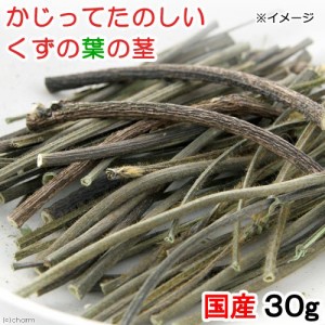 国産　かじってたのしい　くずの葉の茎　３０ｇ　小動物のおやつ　無添加　無着色　かじり木　うさぎ (ハムスター 餌)