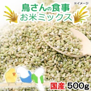 鳥さんの食事　国産　お米ミックス　５００ｇ　おやつ　無添加　無着色 (ハムスター 餌)