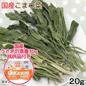 国産　こまつ菜　２０ｇ　うさぎフードおまけ付　お一人様１点限り