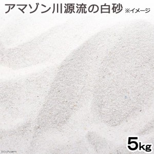 アマゾン川源流の白砂　５ｋｇ（約３Ｌ）　微粒　底砂　底床　コリドラス　エイ　お一人様４点限り