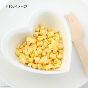 国産　フリーズドライ　とうもろこし粒々　１０ｇ　小動物用のおやつ　無添加　無着色 (ハムスター 餌)