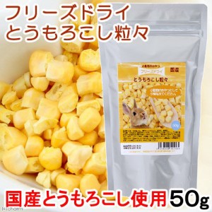 国産　フリーズドライ　とうもろこし粒々　５０ｇ　小動物用のおやつ　無添加　無着色 (ハムスター 餌)