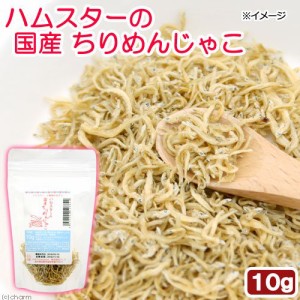 ハムスター　おやつ　ハムスターの国産ちりめんじゃこ　１０ｇ　プチサイズ　国産　無添加　無着色 (ハムスター 餌)