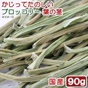 国産　かじってたのしい　ブロッコリーの葉の茎　９０ｇ　小動物用のおやつ　無添加　無着色　かじり木　うさぎ (ハムスター 餌)