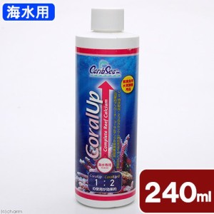 カミハタ　カリブシー　コーラルアップ　２４０ｍｌ