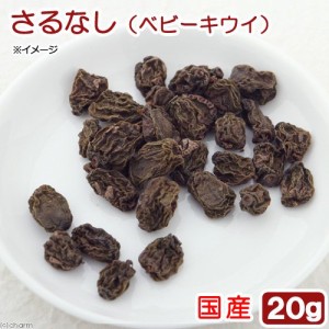 国産　さるなし（ベビーキウイ）　２０ｇ　小動物用のおやつ　国産 (ハムスター 餌)